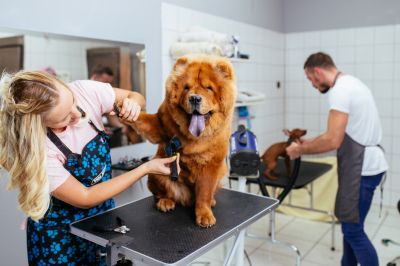 Dog and Pet Pros