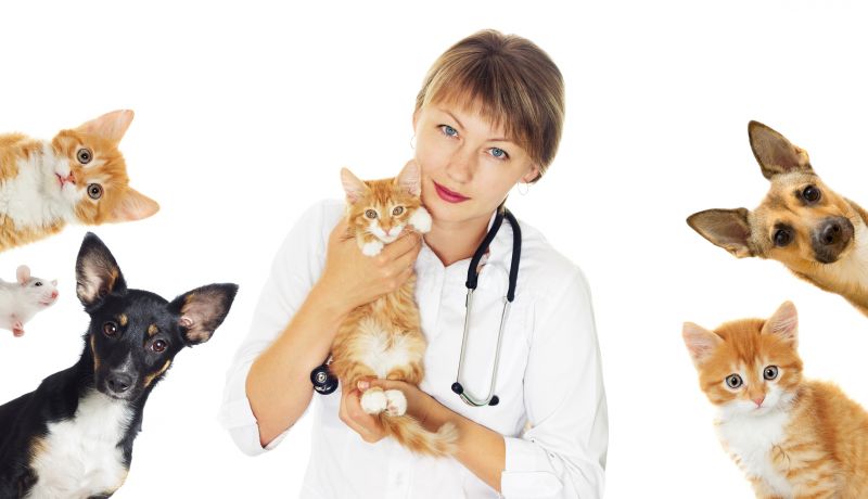 Veterinary Professionals