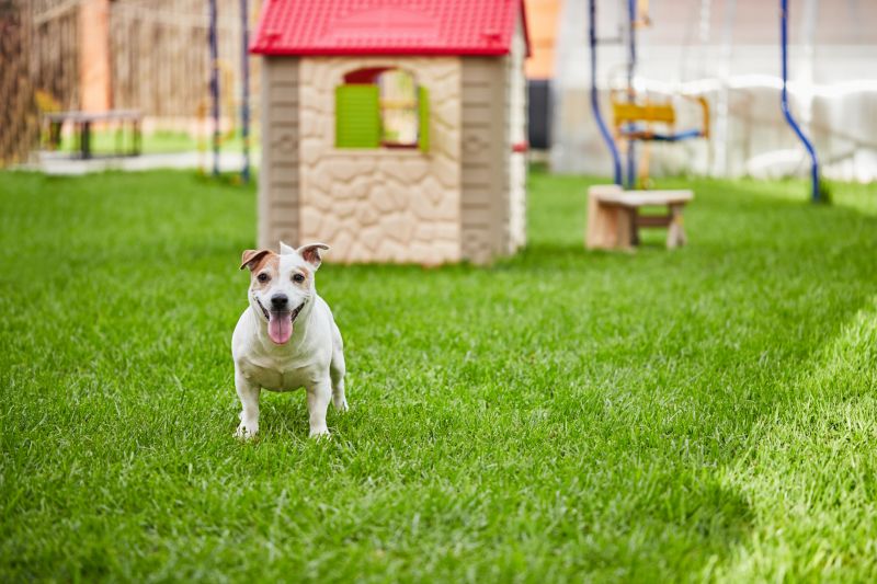 Pet Daycare Providers