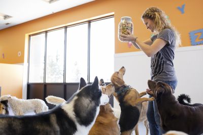 Training Before Major Events